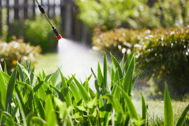 24/7 Emergency Mosquito Control experts in Lake Dalecarlia, IN